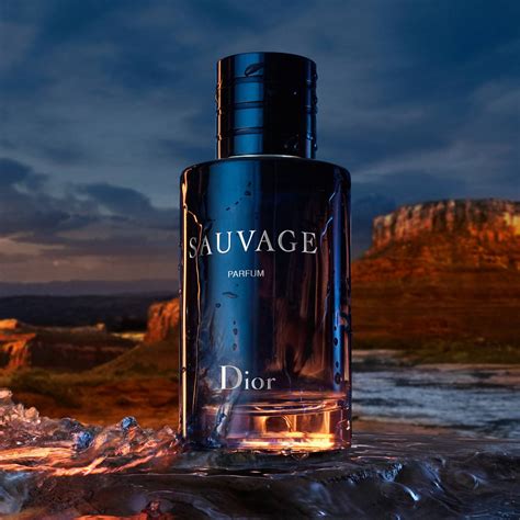 how much is dior sauvage 100ml|dior sauvage lowest price.